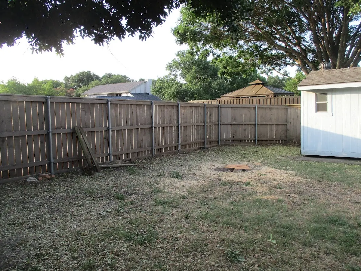 Cleared yard after professional tree removal in Falmouth